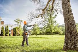 Best Lawn Irrigation Installation and Maintenance  in King City, CA