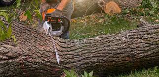 Best Landscape Design and Installation  in King City, CA